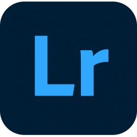 Adobe Lightroom W Classic For Enterprise 1 licenza/e Licenza Multilingua (65297841BA13A12)