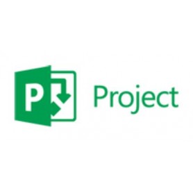 Microsoft Project Professional, 1Y, Level D, Government, Additional Product Governativa (GOV) 1 anno/i (H30-02385)