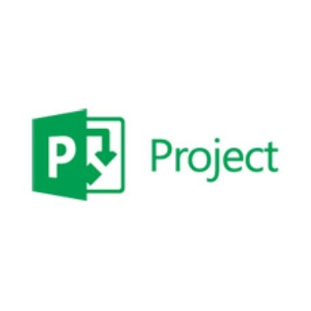 Microsoft Project Professional, 1Y, Level D, Government, Additional Product Governativa (GOV) 1 anno/i (H30-02385)