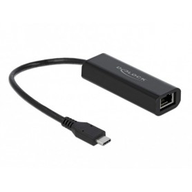 DeLOCK 66298 scheda di rete e adattatore Ethernet 5000 Mbit/s (66298)