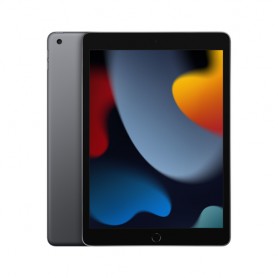 Apple iPad 10.2-inch Wi-Fi 256GB - Grigio siderale (MK2N3TY/A)