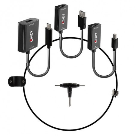 Lindy 38304 cavo e adattatore video HDMI tipo A (Standard) Nero (38304)