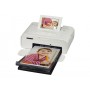 Canon SELPHY CP1300 stampante per foto Sublimazione 300 x 300 DPI 4" x 6" (10x15 cm) Wi-Fi (2235C002)