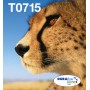 Epson Multipack 4-colours T071 EasyMail (C13T07154511)