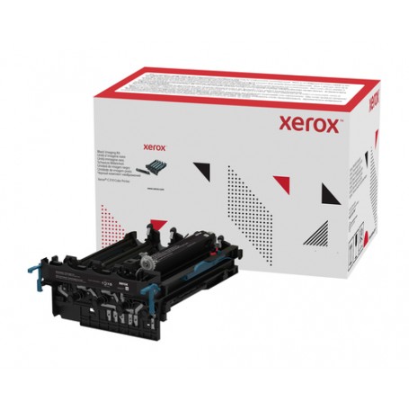 Xerox C310 Unità imaging nero (componente di lunga durata, di norma non richiesto per livelli di utilizzo medi) (013R00689)