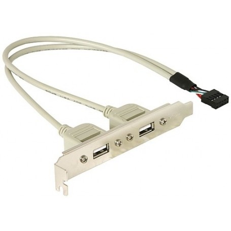 DeLOCK Slotbracket 1x internal USB 5pin  2x USB2.0 external cavo USB 0,3 m USB A Bianco (71000)