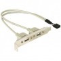 DeLOCK Slotbracket 1x internal USB 5pin  2x USB2.0 external cavo USB 0,3 m USB A Bianco (71000)