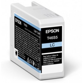 Epson UltraChrome Pro cartuccia d'inchiostro 1 pz Originale Ciano chiaro (C13T46S500)