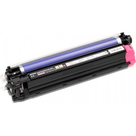 Epson Fotoconduttore Magenta (C13S051225)