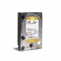 Western Digital Gold 3.5" 1000 GB Serial ATA III (WD1005FBYZ)