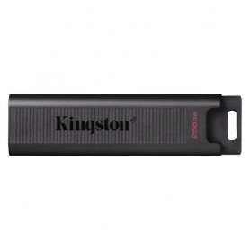 Kingston Technology DataTraveler Max unità flash USB 256 GB USB tipo-C 3.2 Gen 2 (3.1 Gen 2) Nero (DTMAX/256GB)
