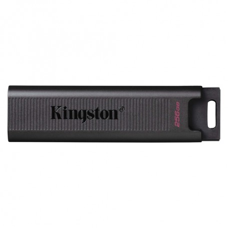 Kingston Technology DataTraveler Max unità flash USB 256 GB USB tipo-C 3.2 Gen 2 (3.1 Gen 2) Nero (DTMAX/256GB)
