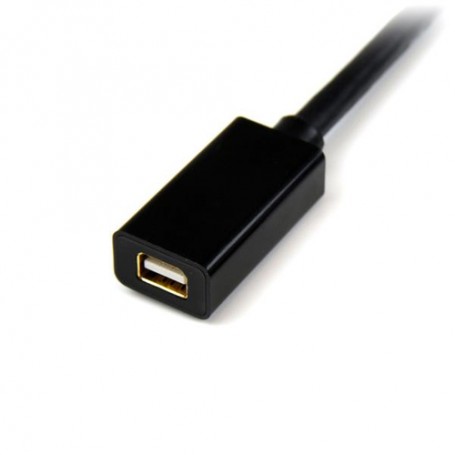 StarTech.com Cavo prolunga video Mini DisplayPort 1.2 ad alta risoluzione 4k x 2k da 1,8m - M/F (MDPEXT6)
