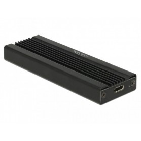 DeLOCK 42600 scheda di interfaccia e adattatore USB 3.2 Gen 1 (3.1 Gen 1) (42600)