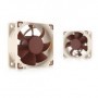 Noctua NF-A6x25 PWM Case per computer Ventilatore 6 cm Beige, Marrone (NF-A6X25-PWM)