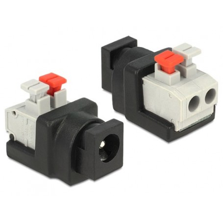 DeLOCK 65524 adattatore per inversione del genere dei cavi DC 5.5 x 2.1 mm Nero, Argento (65524)