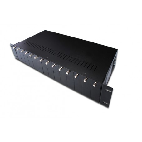Digitus Case di conversione media a 14 Slot (DN-82000)