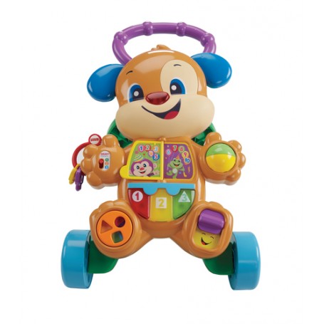Fisher-Price Cagnolino Primi Passi (FRC84)
