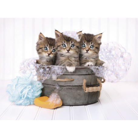 Clementoni Kittens and soap Puzzle 500 pz (35065)