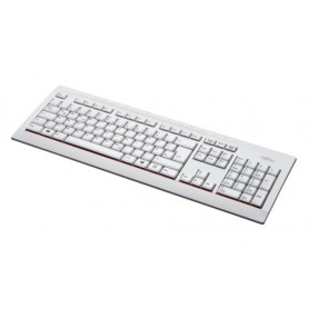 Fujitsu KB521 IT tastiera USB Italiano Grigio (S26381-K521-L185)