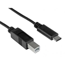 Hamlet Cavo adattatore da USB 3.1 Type C a USB 2.0 Tipo B Maschio 1 metro (XCTC-U2B100)