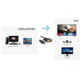 Hamlet XVCDP-DV18 cavo e adattatore video 1,8 m DisplayPort DVI Nero (XVCDP-DV18)