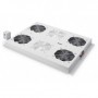 Digitus DN-19 FAN-4-SRV accessori di raffreddamento hardware Grigio (DN-19 FAN-4-SRV)