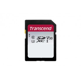Transcend SDHC 300S 256GB SDXC NAND Classe 10 (TS256GSDC300S)