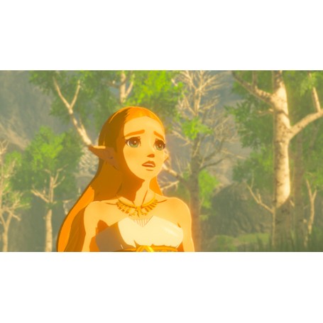 Nintendo The Legend of Zelda: Breath of the Wild (2520049)