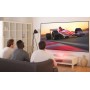 Optoma ALR120 schermo per proiettore 3,05 m (120") 16:9 (ALR120)