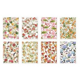 Blasetti 6736 quaderno per scrivere A4 21 fogli Multicolore (6736A)