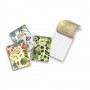 Pigna Flowers quaderno per scrivere A5 25 fogli Multicolore (0222172)