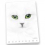 Pigna Monocromo quaderno per scrivere A4 19 fogli Bianco (02307911R)