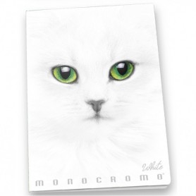 Pigna Monocromo quaderno per scrivere A4 19 fogli Bianco (02307910Q)