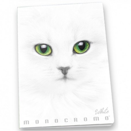 Pigna Monocromo quaderno per scrivere A4 19 fogli Bianco (02307910Q)
