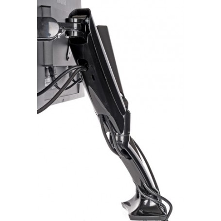 iiyama DS3001C-B1 supporto da tavolo per Tv a schermo piatto 68,6 cm (27") Morsa Nero (DS3001C-B1)