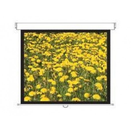 Optoma DS-3120PMG+ schermo per proiettore 3,05 m (120") 4:3 (DS-3120PMG)
