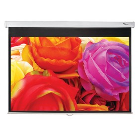 Optoma DS-1123PMG+ schermo per proiettore 3,12 m (123") 16:10 (DS-1123PMGPLUS)