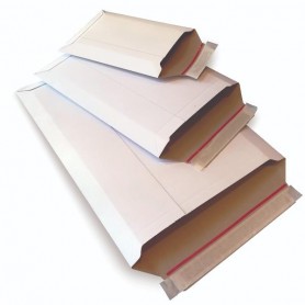 CF20 BUSTE E-COMMERCE PACK ST B4 (0735)