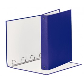 Esselte 395792950 raccoglitore ad anelli (395792950)
