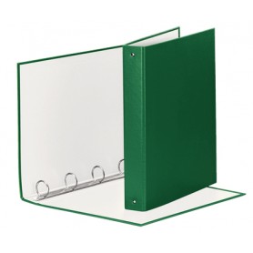 Esselte 395792600 raccoglitore ad anelli Verde (395792600)