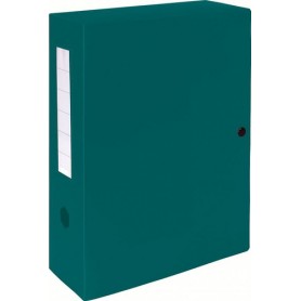 Exacompta 59933E scatola per la conservazione di documenti Verde (59933E)