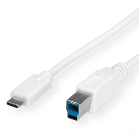 CAVO USB C-B M/M MT.1 80 (RO11.99.8880)