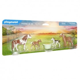 HORSE 2PONY ICELANC PULEDRI (71000)