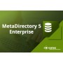 ESTOS MetaDirectory 5 Enterprise 10 licenza/e (2100060100)