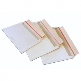CF20 BUSTE E-COMMERCE PACK BT C4 (0703)