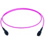 Telegärtner L00836A0016 cavo a fibre ottiche 20 m MPO OM4 Viola (L00836A0016)