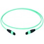 Telegärtner L00832A0005 cavo a fibre ottiche 3 m MPO OM3 Colore acqua (L00832A0005)