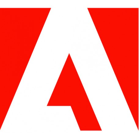 Adobe 10006099AA01A12 licenza per software/aggiornamento Inglese (10006099AA01A12)
