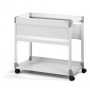 Durable 378410 scatola per la conservazione di documenti Grigio (378410)